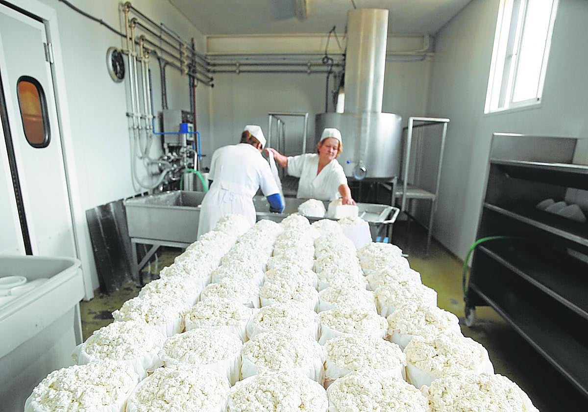 El sector de las queserías artesanales es de gran relevancia en el medio rural andaluz.