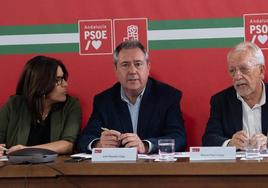 El secretario general del PSOE-A, Juan Espadas, en la última ejecutiva regional.