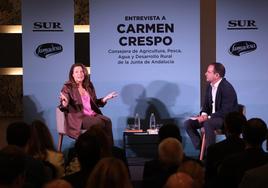 El agro andaluz, a examen en una entrevista con la consejera de Agricultura Carmen Crespo