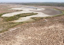 Las lagunas sin agua de Doñana debido a la sequía.