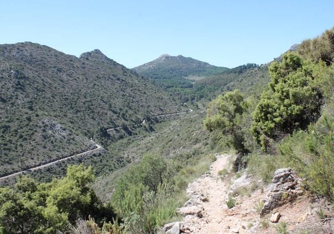 Hay un tramo descendente en la segunda mitad