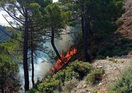 Un rayo provoca un incendio en un paraje de Canillas de Albaida