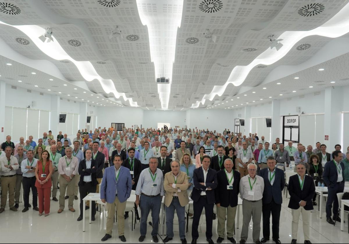 Una imagen de la asamblea general de Dcoop, celebrada este jueves.