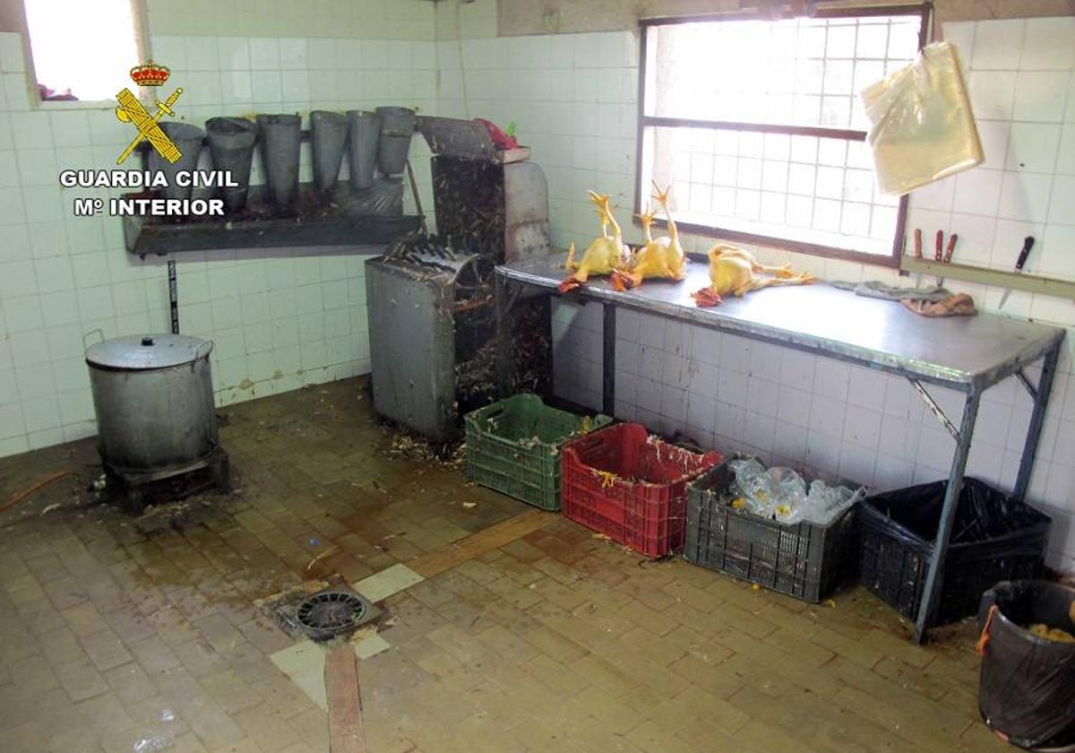 Cinco detenidos tras desmantelar un matadero ilegal en Álora
