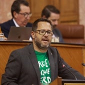 Imagen - «Sus políticas injustas ha encontrado el aliño perfecto en la bandera de Andalucía»