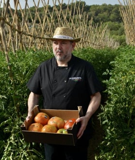 Imagen secundaria 2 - Los primeros tomates Huevo de Toro de esta temporada; representantes institucionales y empresarios gastronómicos. 