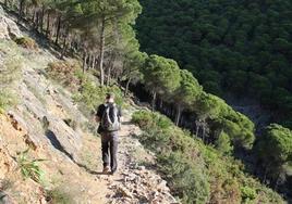 Foto de archivo de la Cañada Gertrudis, en la sierra de Mijas