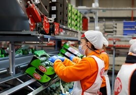 Imagen de archivo de la planta de procesado del aguacate de Trops en Vélez-Málaga.