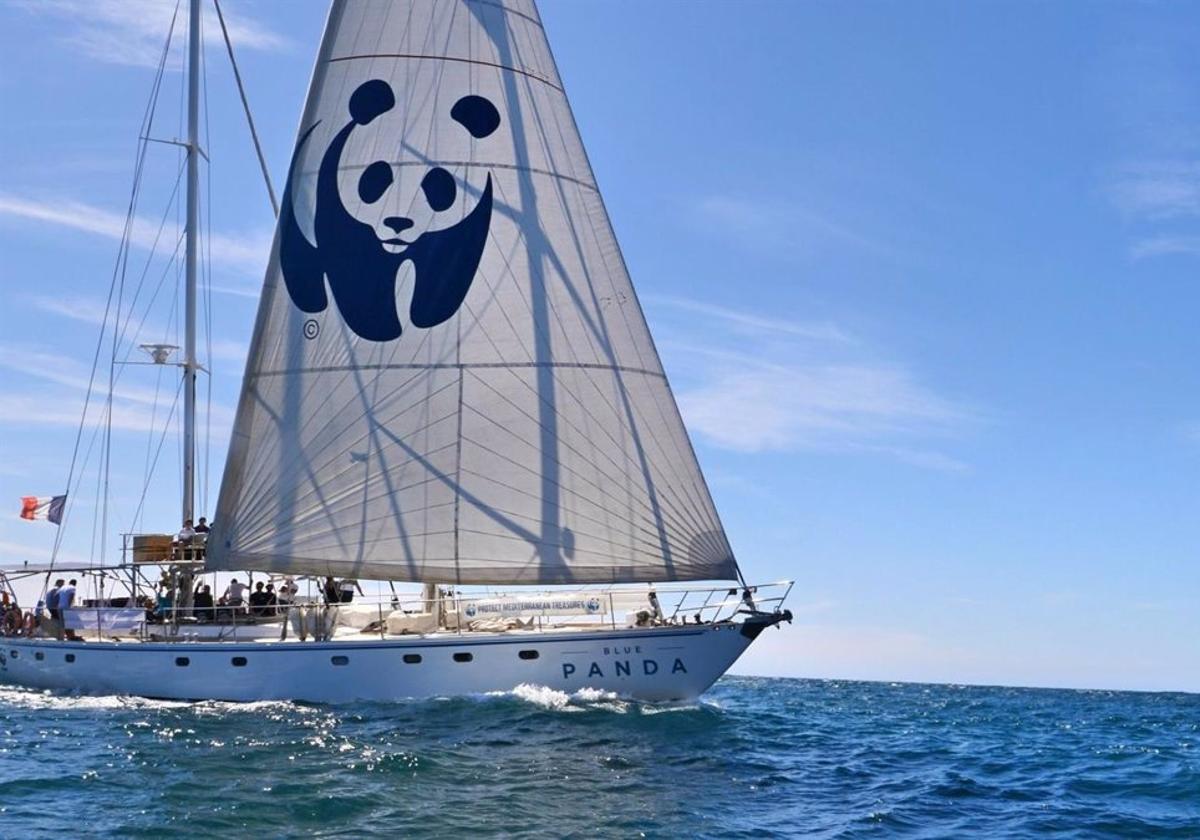 El velero de WWF navegará por Andalucía para indagar en el conocimiento de tiburones y rayas