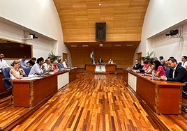 Celebración del pleno en el Ayuntamiento de Fuengirola.