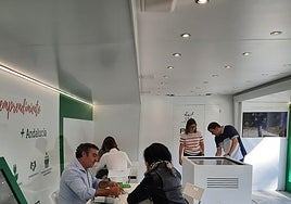 Imagen del servicio en Rincón de la Victoria.