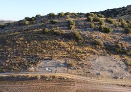 Necrópolis de La Lentejuela en Teba