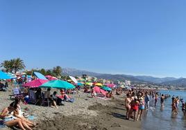 Torre del Mar pondrá en marcha una campaña de sensibilización pesquera