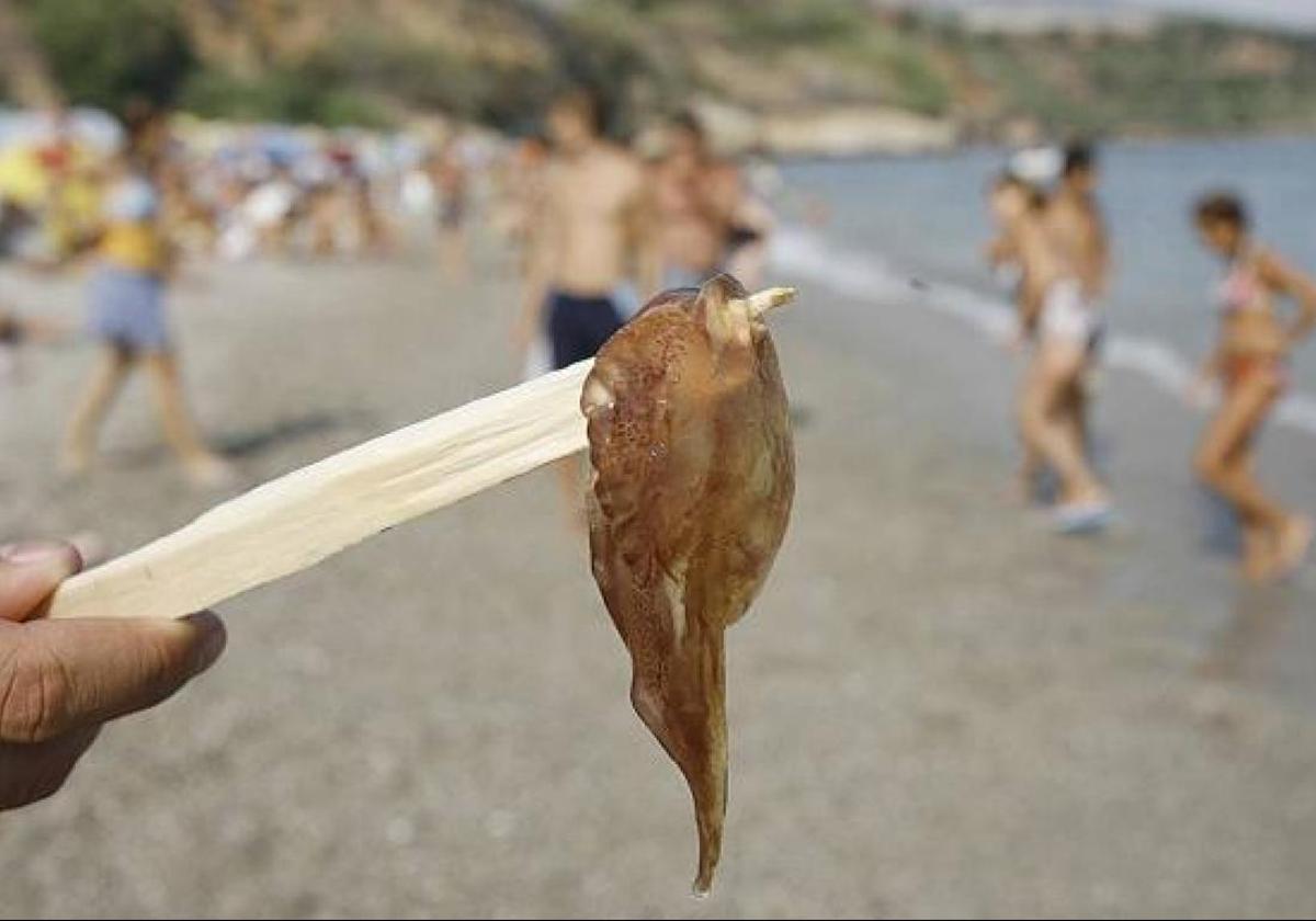 Detectan bancos de medusas en varias playas de Málaga