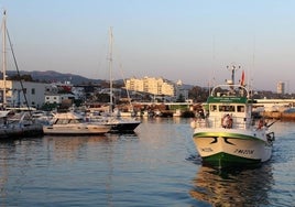 Embarcaciones de Marbella.