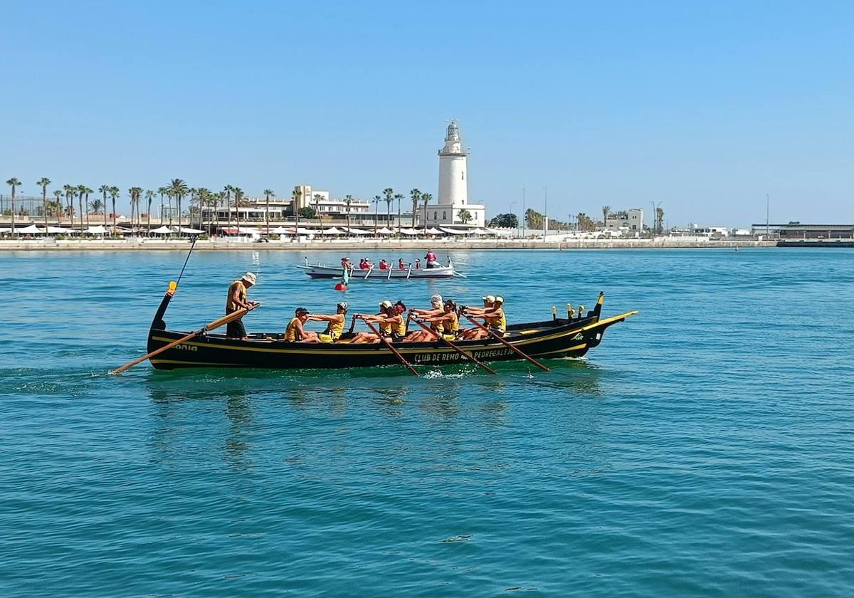 La Araña domina en la regata de Jábegas celebrada en el Puerto de Málaga