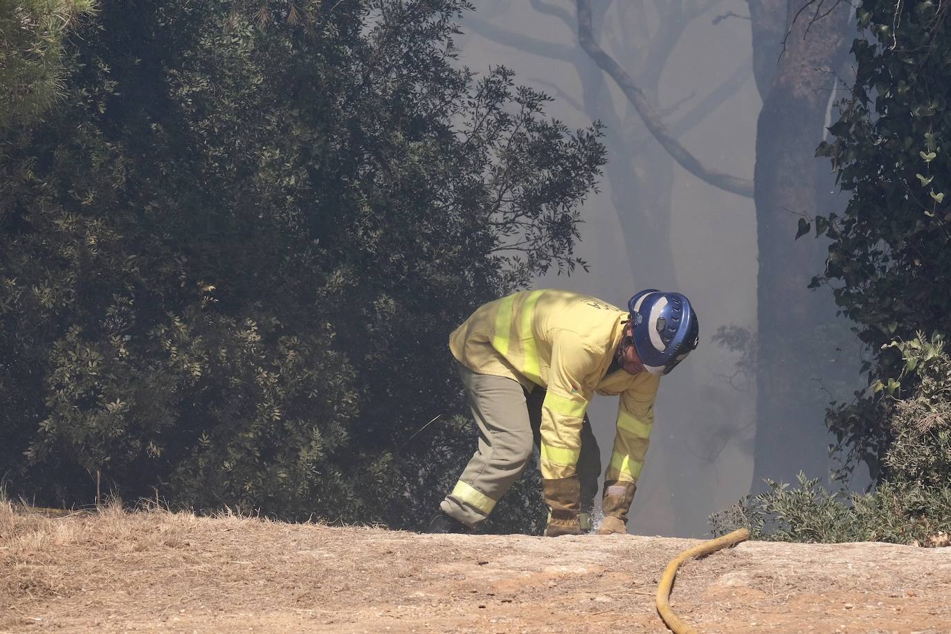 Activado el nivel 1 de alerta por un incendio forestal en Cádiz