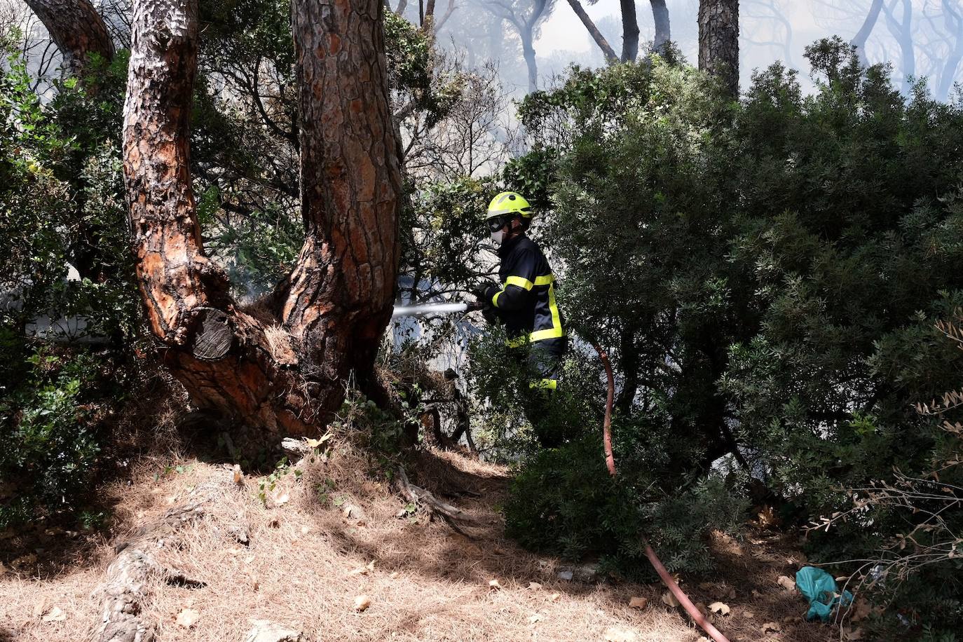 Activado el nivel 1 de alerta por un incendio forestal en Cádiz