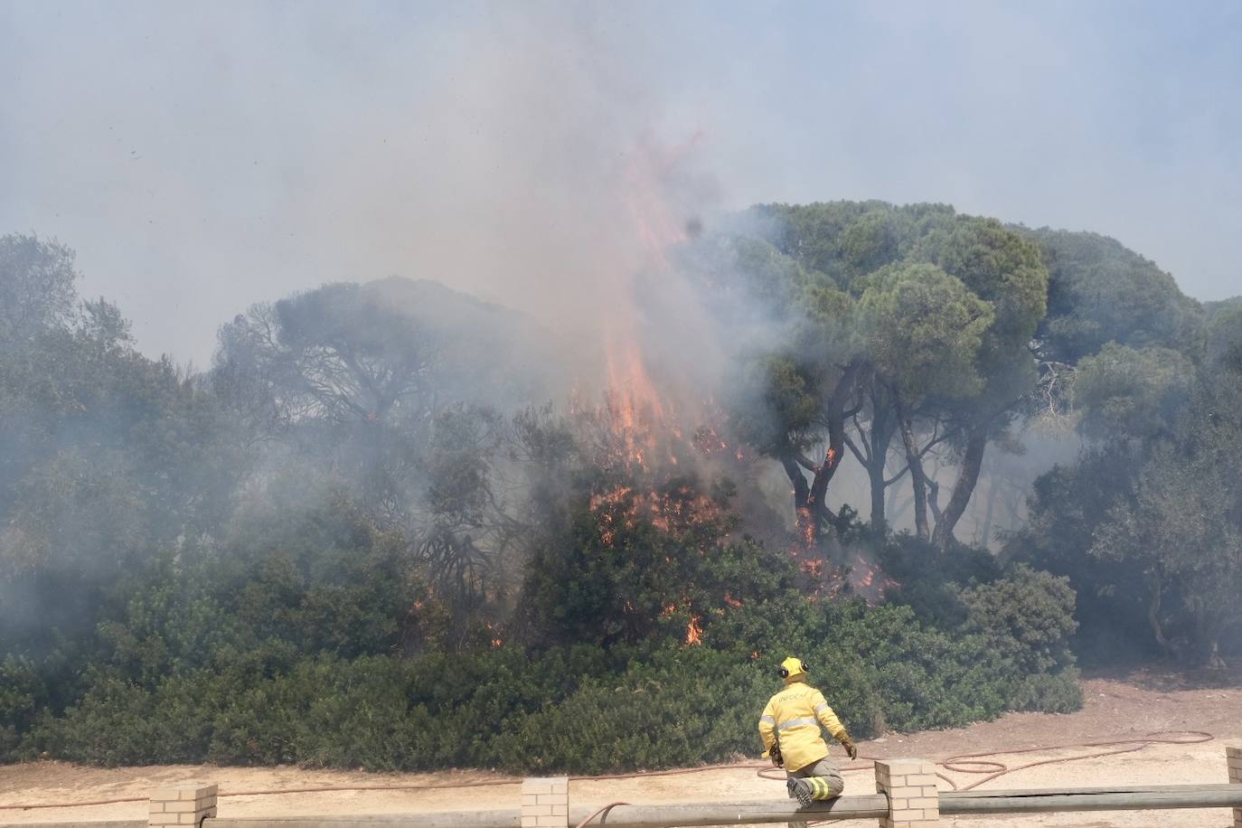 Activado el nivel 1 de alerta por un incendio forestal en Cádiz