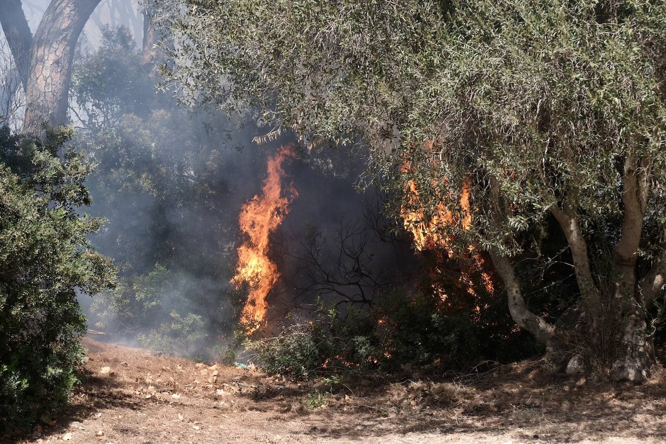 Activado el nivel 1 de alerta por un incendio forestal en Cádiz