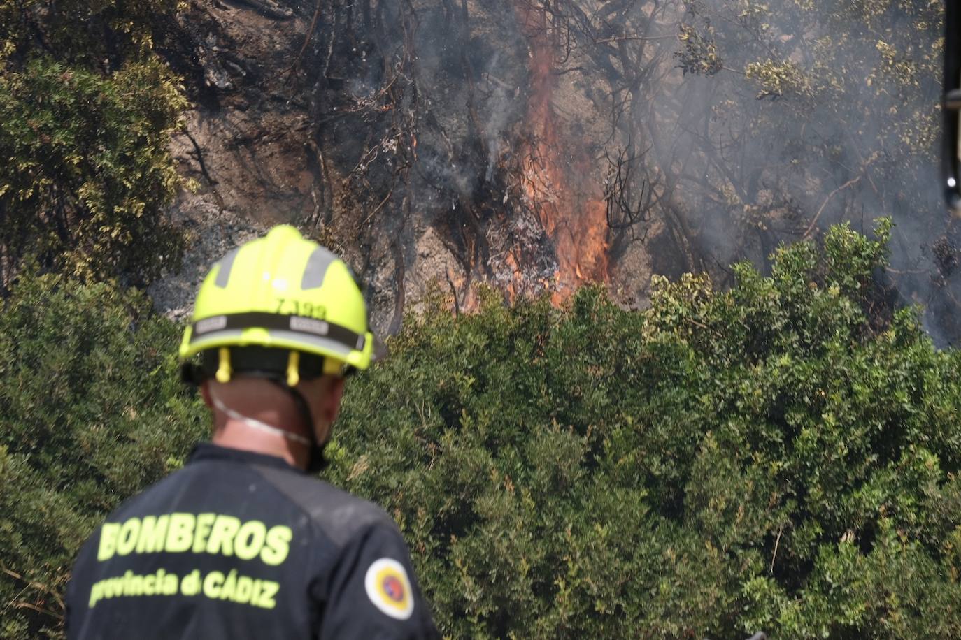 Activado el nivel 1 de alerta por un incendio forestal en Cádiz