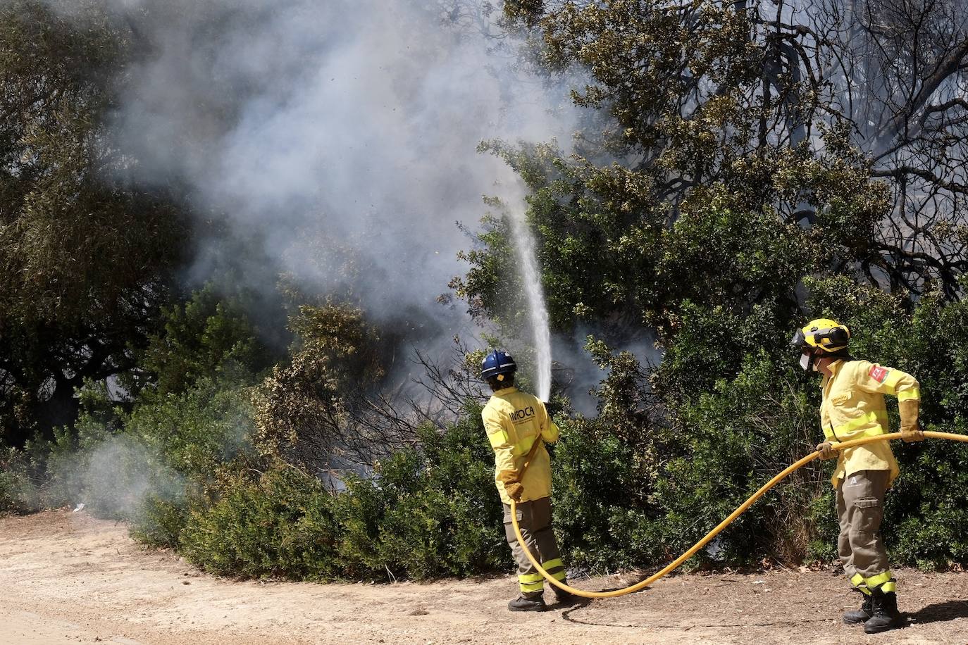 Activado el nivel 1 de alerta por un incendio forestal en Cádiz