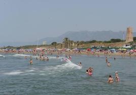 Aumentan las playas de Málaga en las que se avistan medusas este viernes