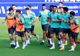 Jugadores del Málaga se entrenan en La Rosaleda, esta semana.