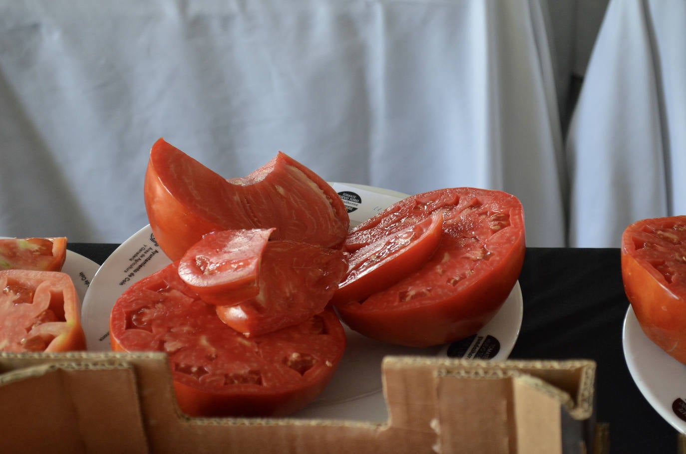 El mejor lote de tomate Huevo de Toro 2023