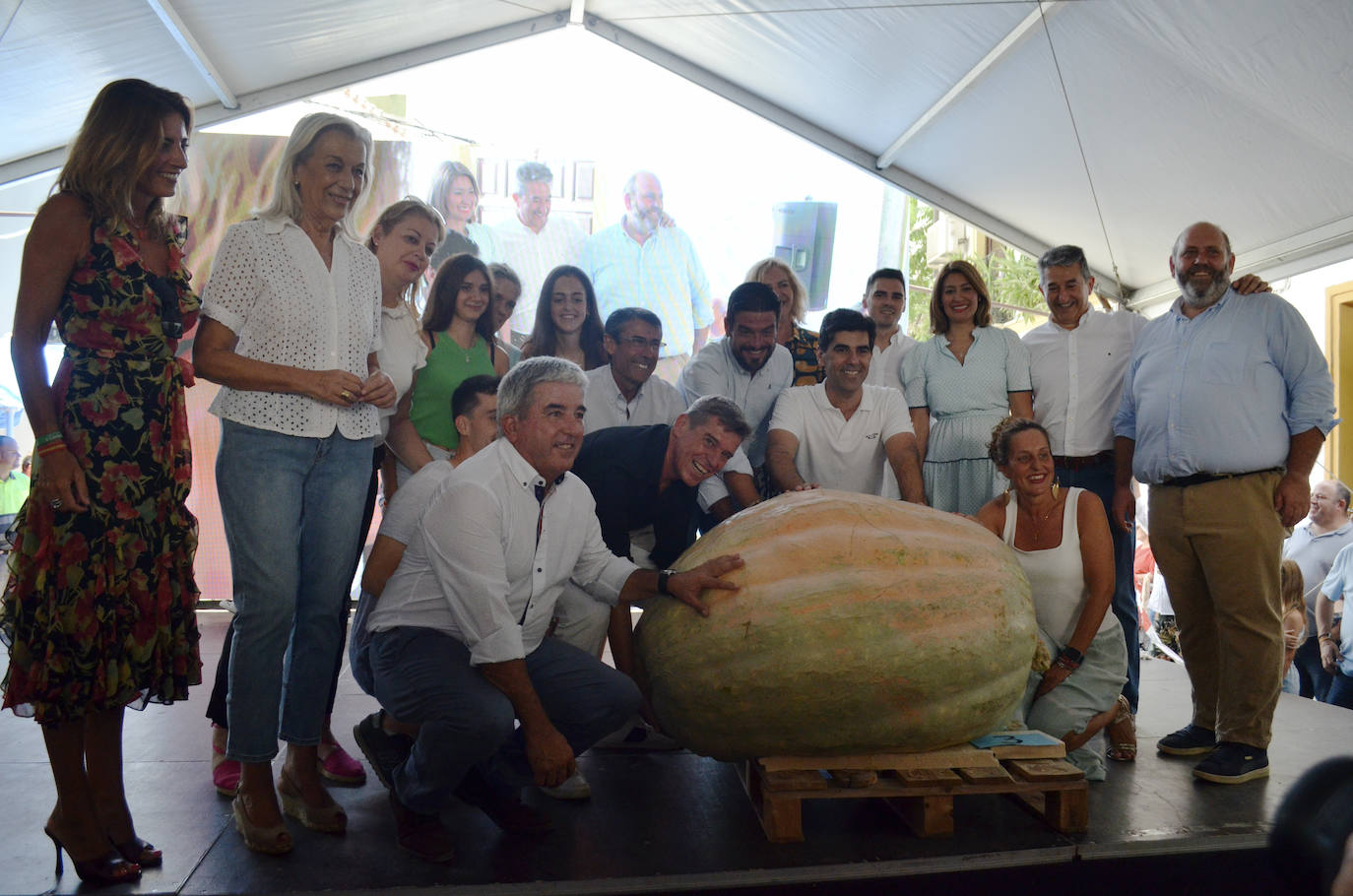 El mejor lote de tomate Huevo de Toro 2023