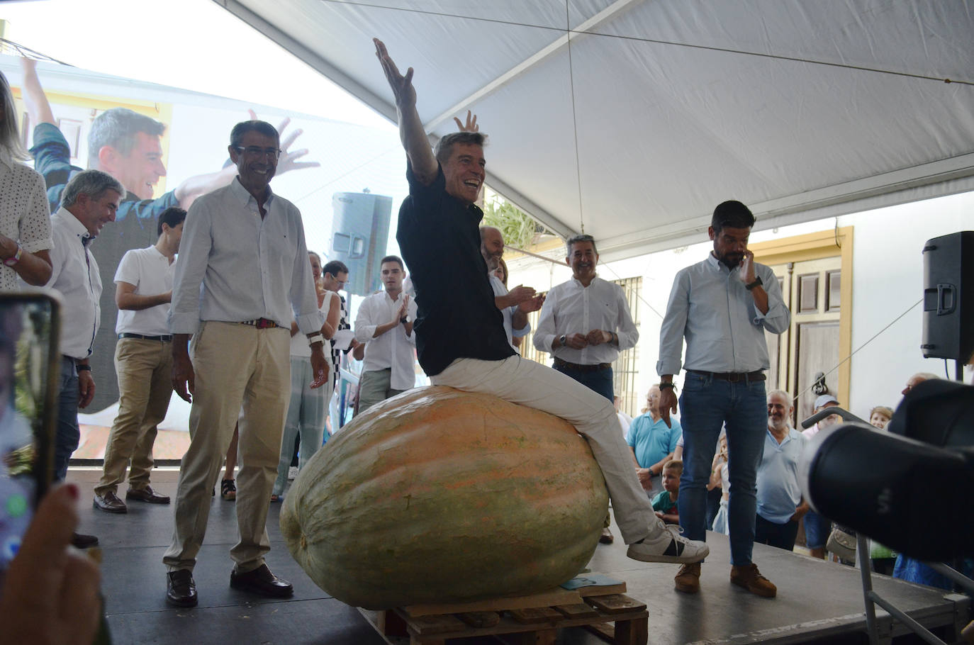 El mejor lote de tomate Huevo de Toro 2023