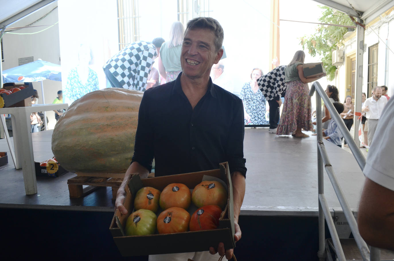 El mejor lote de tomate Huevo de Toro 2023