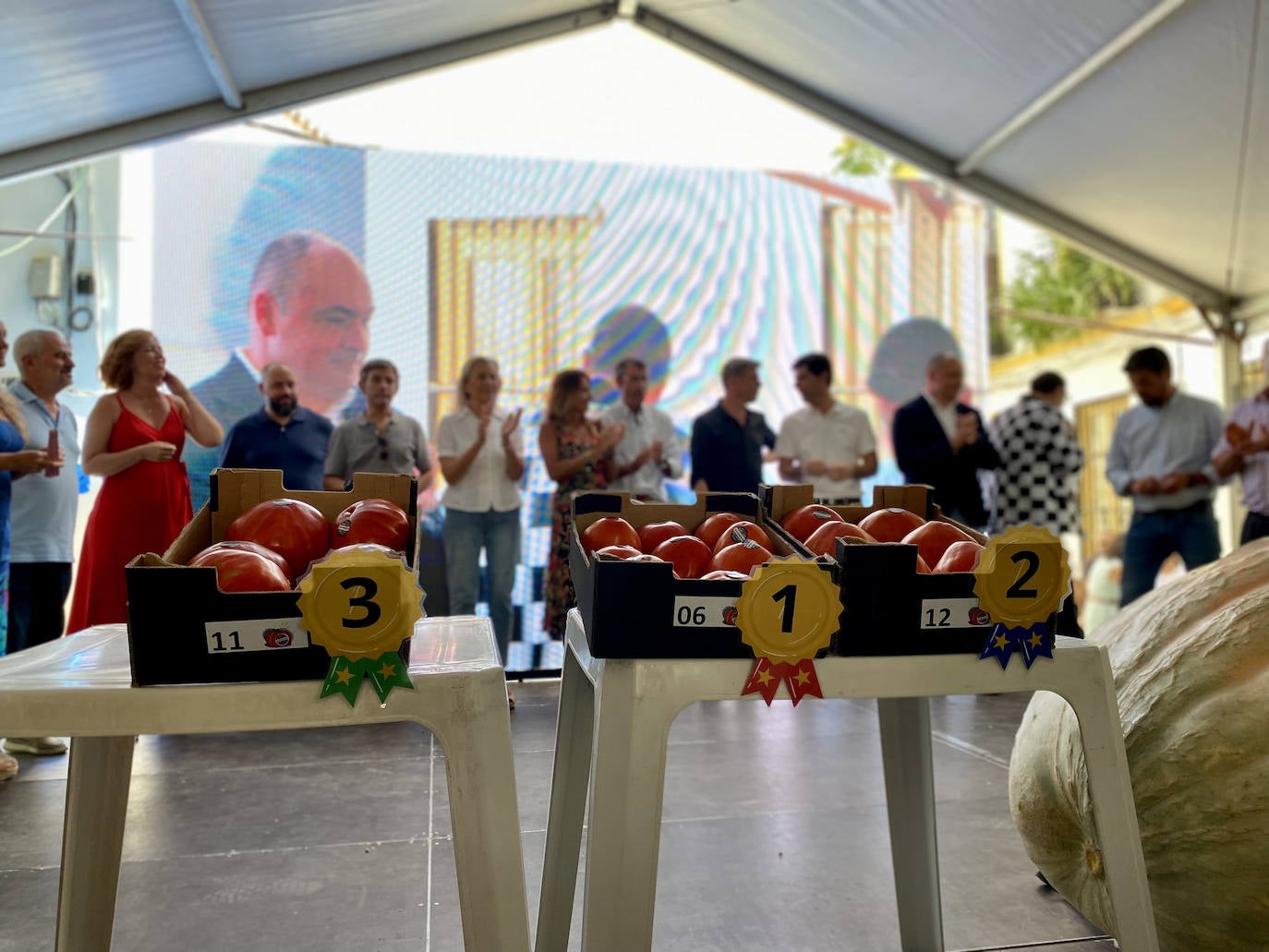 El mejor lote de tomate Huevo de Toro 2023