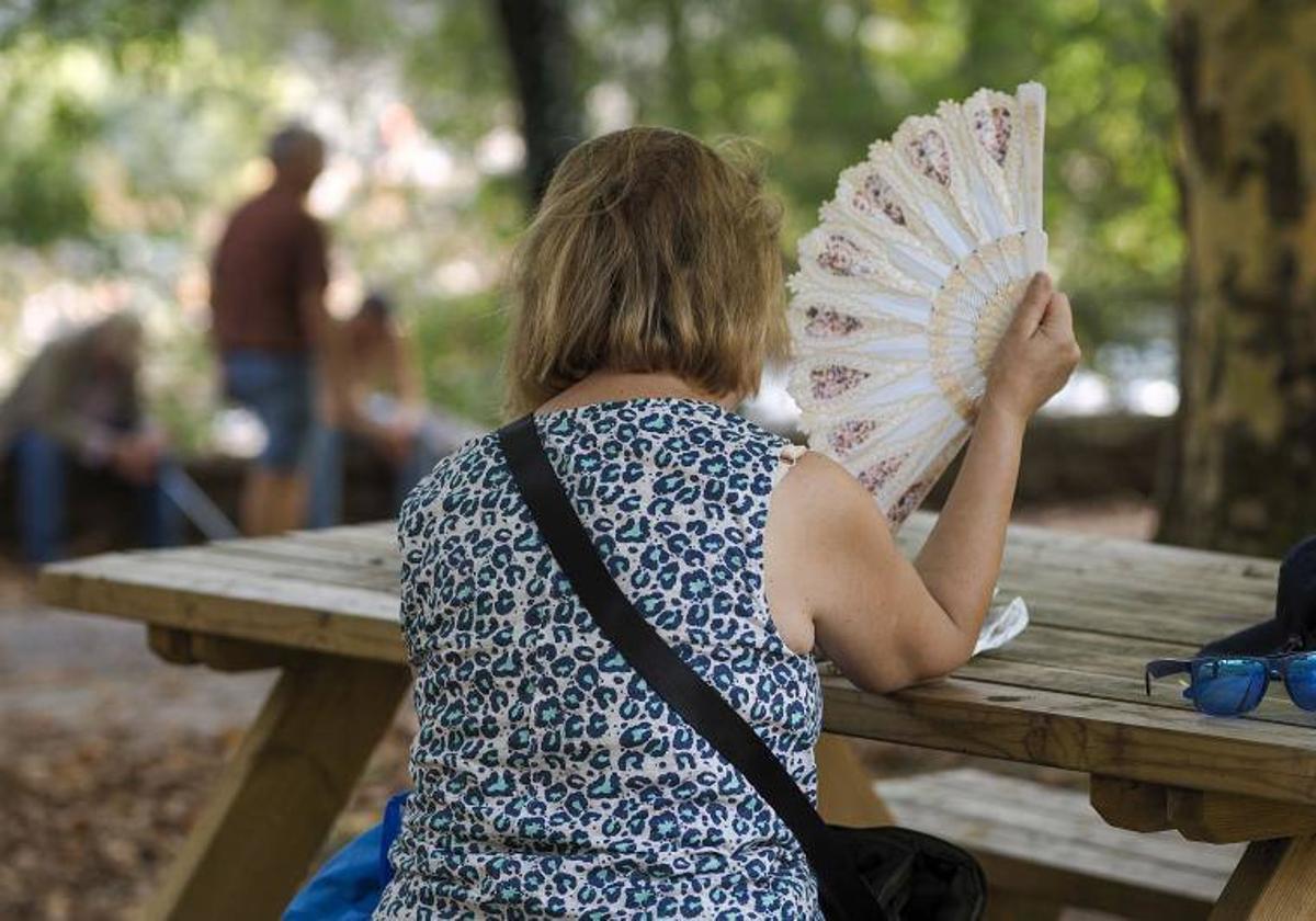 La nueva ola de calor ha disparado los termómetros en los últimos días.