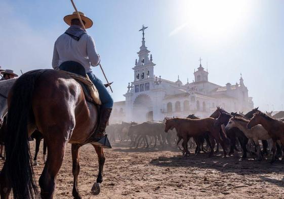 El PSOE cree que la Junta «no sabe salir del atolladero de Doñana»
