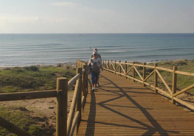 Pasarela en las dunas de Artola, en la playa marbellí de Cabopino.