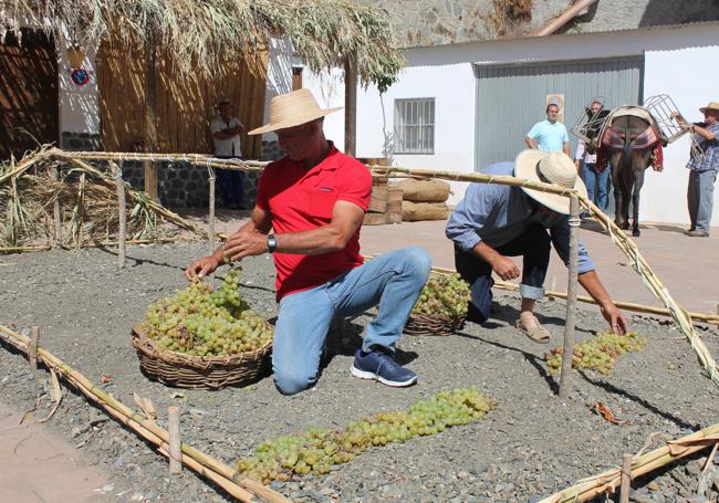 Recreación en el Día de la Pasa de El Borge.