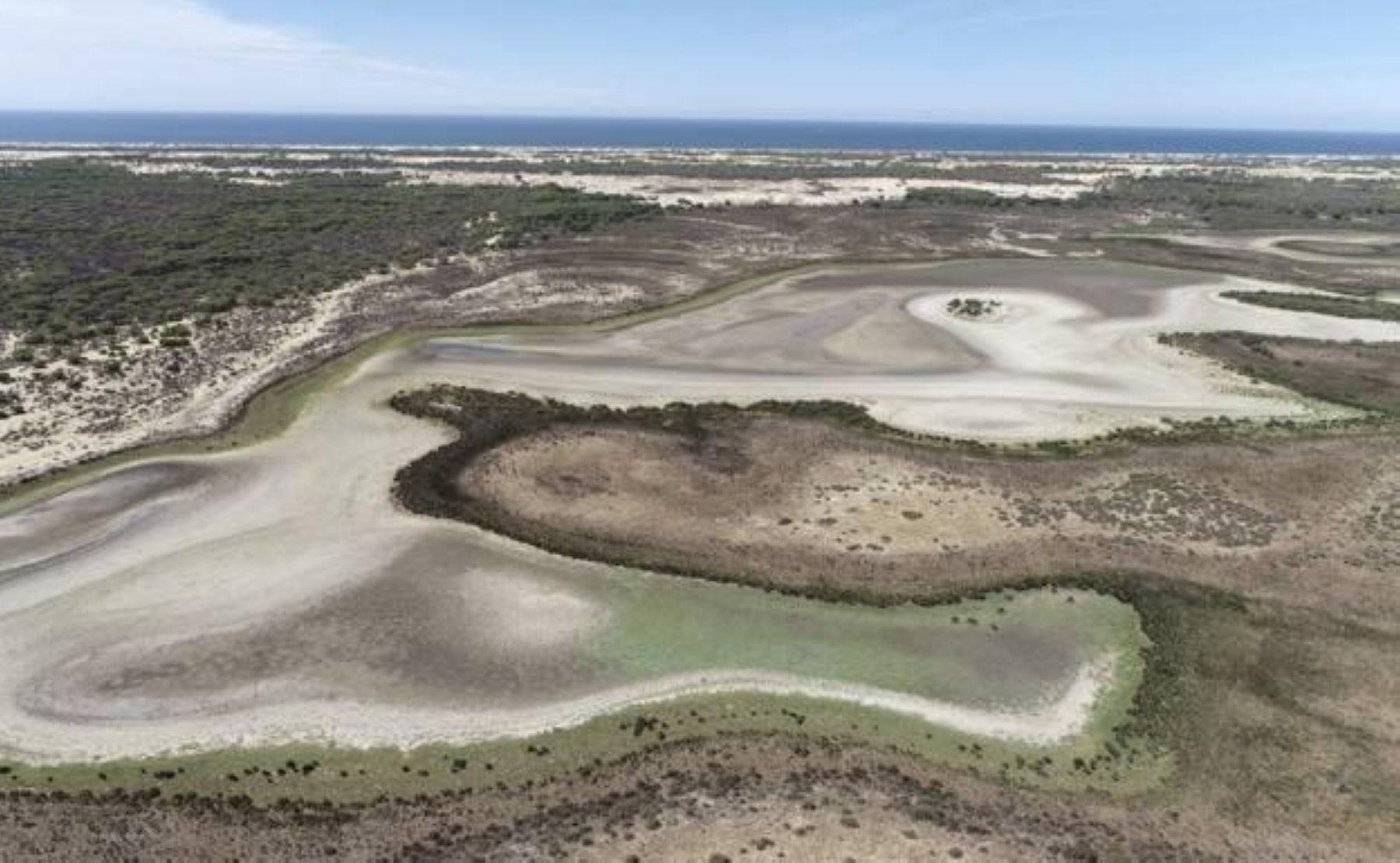 Aspecto de una de las lagunas del Espacio Natural de Doñana completamente seca.