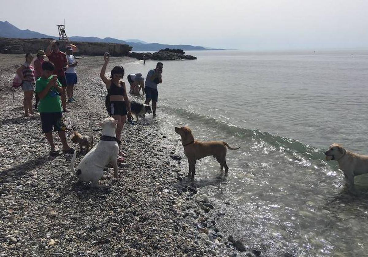 Una de estas playas en Torrox.