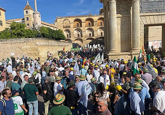 Una imagen de la manifestación de los agricultores este martes en Córdoba.