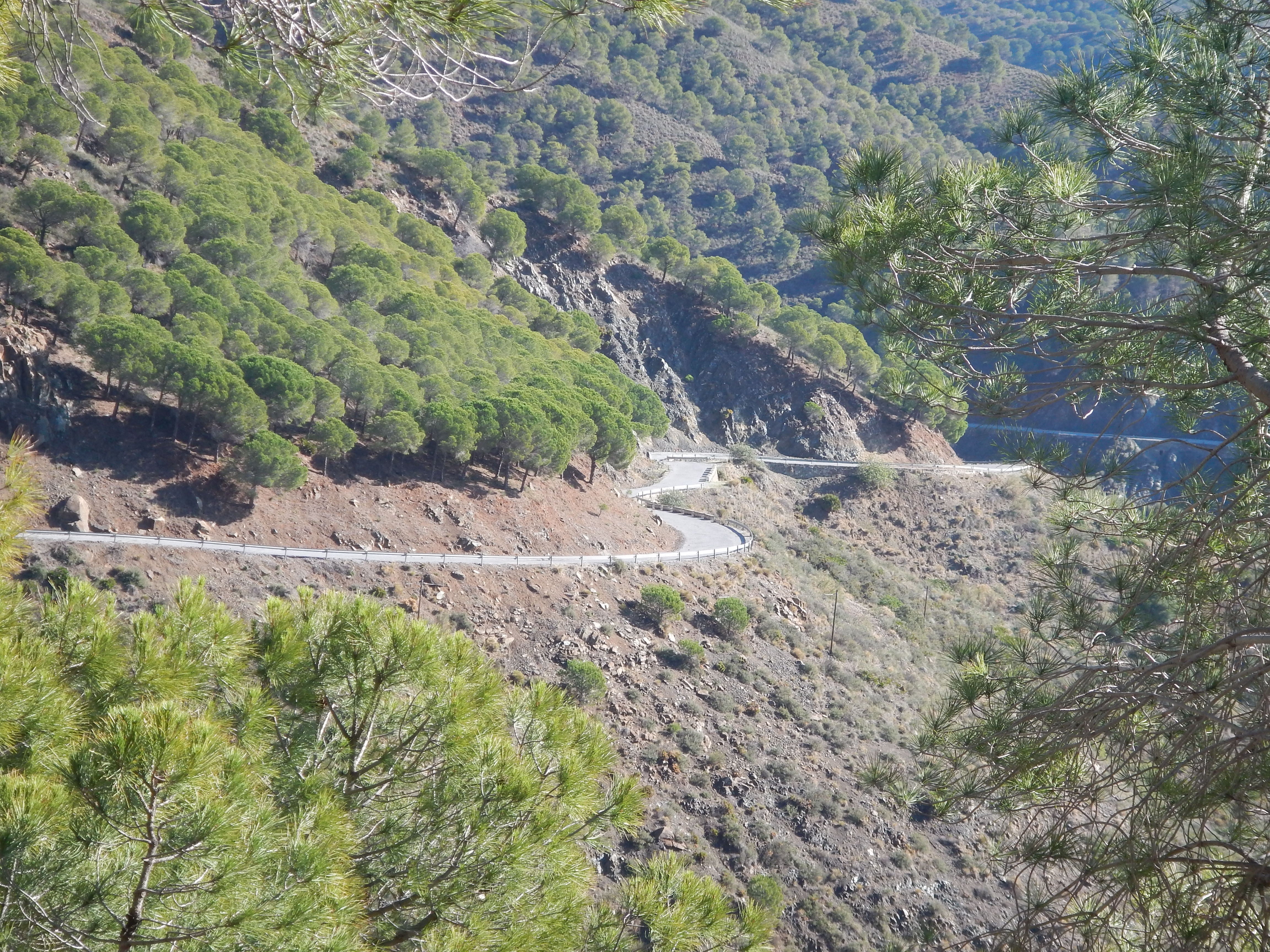 Tramo de curvas entre Carratraca y Álora.