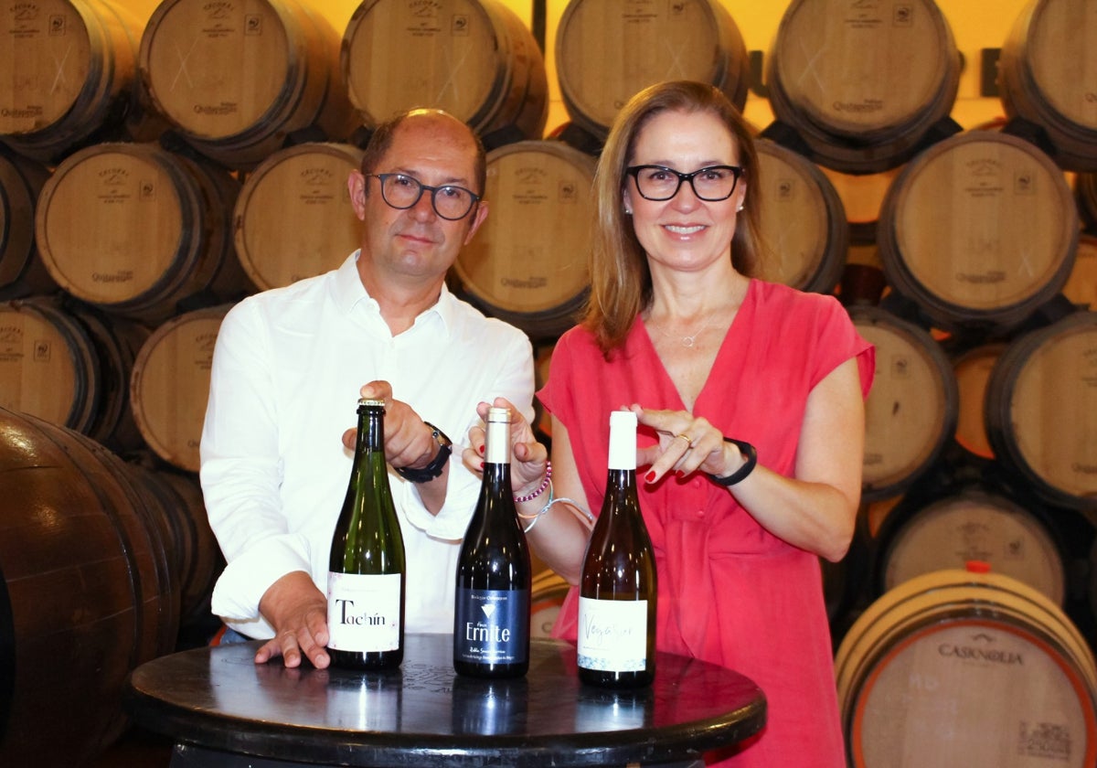 Bodegas Quitapenas se reinventa con nueva gama de vinos tintos y blancos