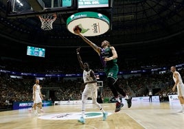 Cómo y cuándo ver la Supercopa de España de baloncesto