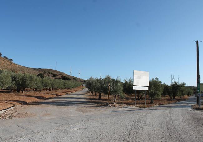 Bifurcación donde comienza la parte circular del sendero.