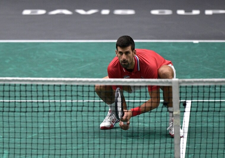 El Serbia-Gran Bretaña, duelo estelar en la Final a 8 en Málaga de la Copa Davis