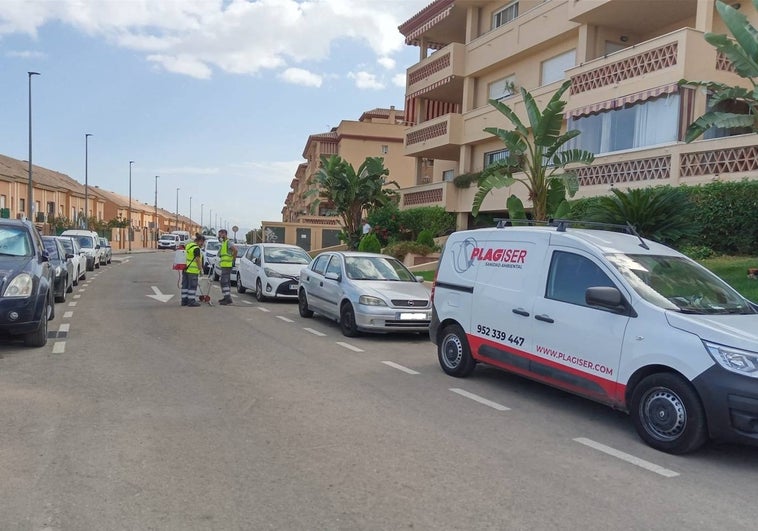 Alhaurín de la Torre inicia una campaña de desratización para prevenir plagas