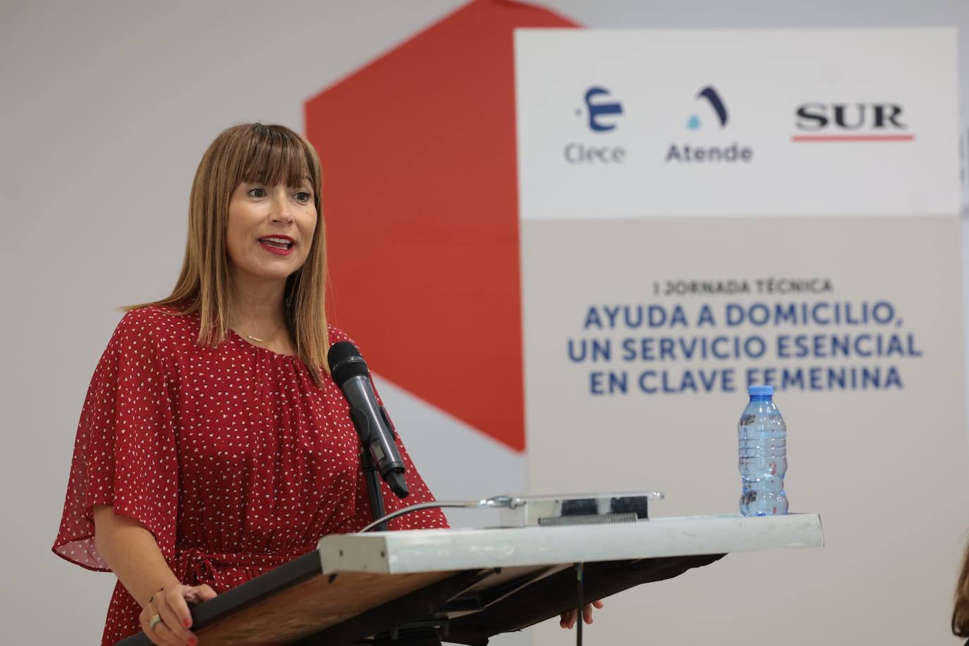 Imágenes de la I jornada &#039;Ayuda a domicilio, un servicio esencial en clave femenina&#039;