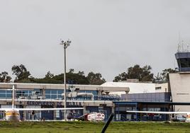 Melilla decreta el «nivel de alerta 1 de rabia» tras la aparición de cuatro casos en las últimas semanas