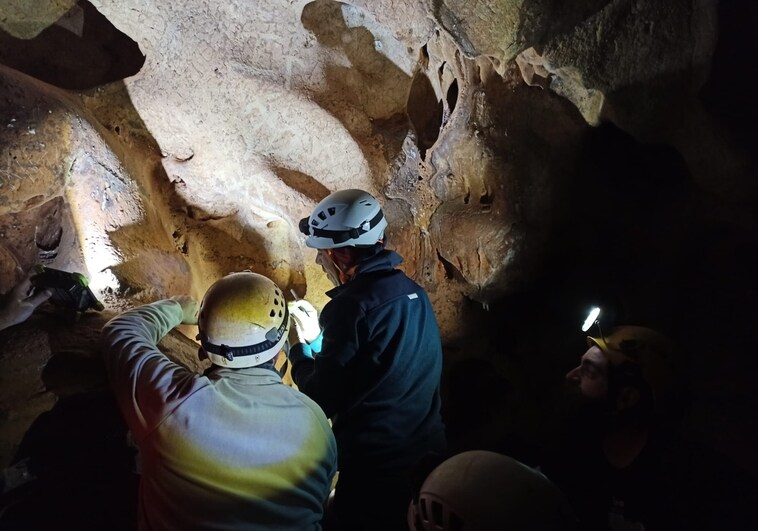La visita guiada a la Cueva de la Victoria, incluida en las Jornadas Europeas de Patrimonio
