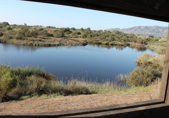 Mirador habilitado en la Desembocadura del Guadalhorce.